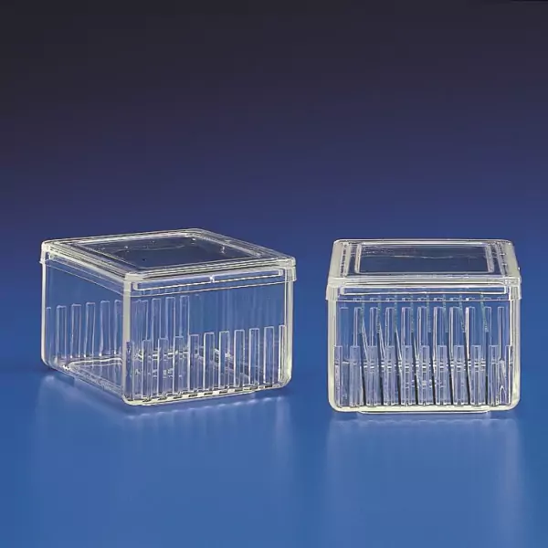 Staining Jar Schifferdecker Type